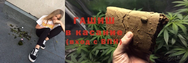 сатива Кулебаки