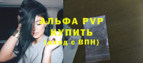 винт Абаза