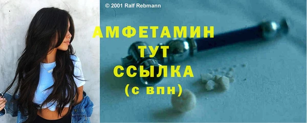винт Абаза