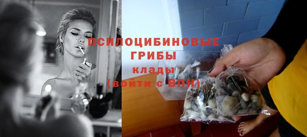 винт Абаза